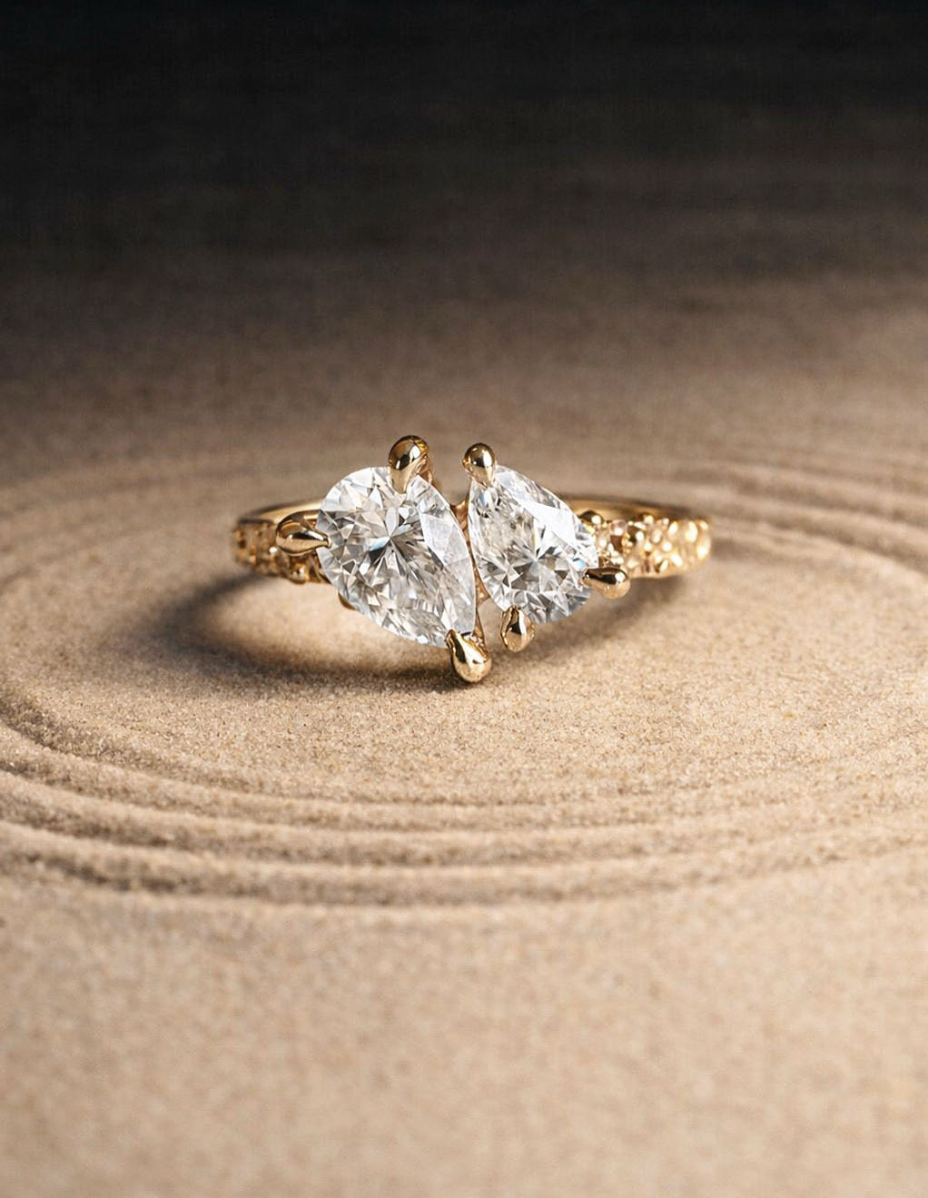 Image de diapositive